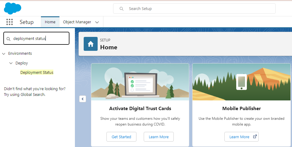 In this screenshot you will see the data masker deployment status