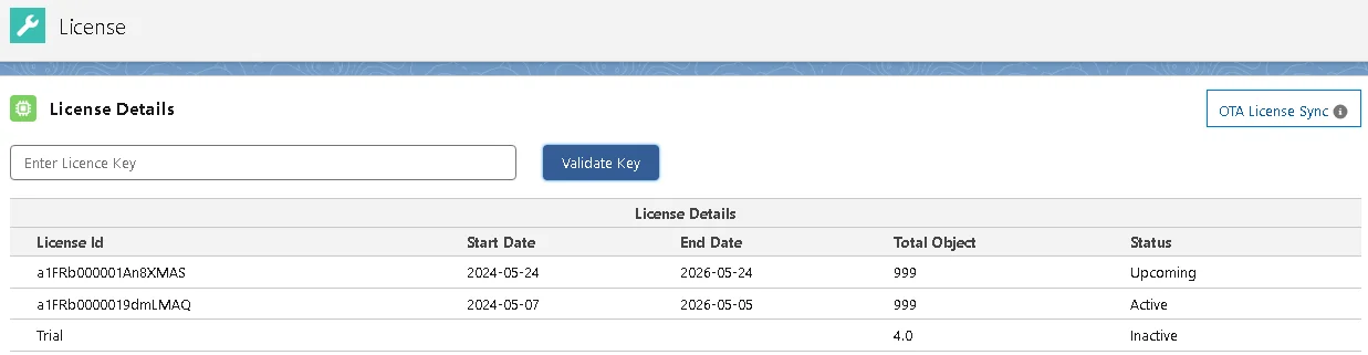 Managing multiple licenses of DataMasker in Salesforce