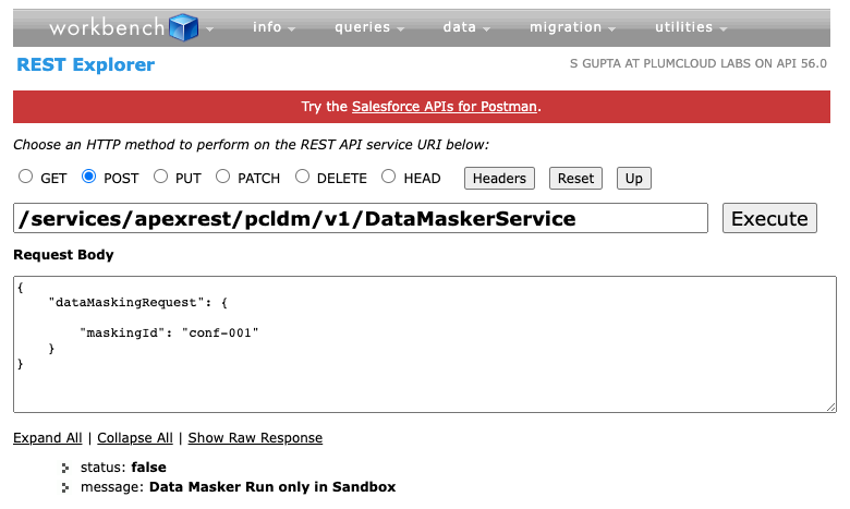 REST response showing DataMasker execution is prohibited in Production
