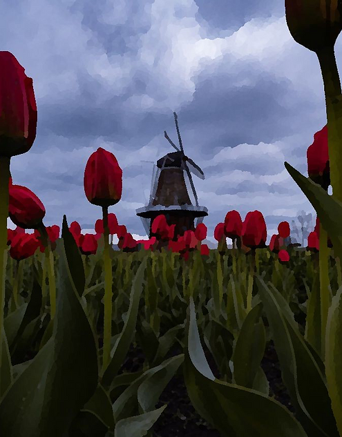 Tulips, Digital Marketing, and Salesforce in the new world!